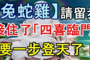 這3個生肖請留步，接住了「四喜臨門」，要「一步登天了」！