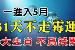 一進入5月，31天不走黴運，不為錢累的生肖