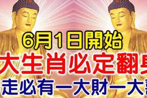 6月1號開始必定翻身的生肖，轉走必有一大財一大喜