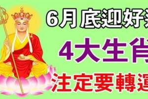 6月底迎好運的生肖