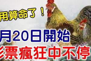 7月20日開始，彩票瘋狂中不停的生肖