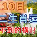 6月10日生肖運勢，意想不到的橫財入賬!