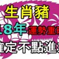 生肖豬2018年運勢重磅來襲！你確定不點進來？