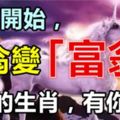 12月開始不為錢操心，「負翁」變「富翁」的生肖