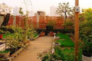 這才是夢想中的屋頂花園、空中菜園，花草滿園果蔬豐收！