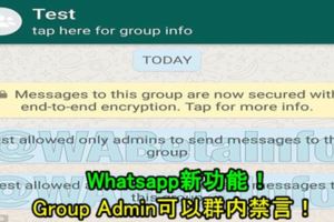 Whatsapp新功能！GroupAdmin可以群內禁言！
