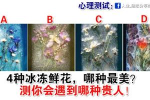 心理測試：4種冰凍鮮花，哪種最美？測你會遇到哪種貴人！