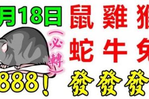 8月18日，生肖鼠、雞、猴、蛇、牛、兔888，發發發