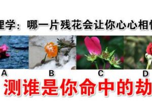 心理學：哪一片殘花會讓你心心相惜？測誰是你命中的劫