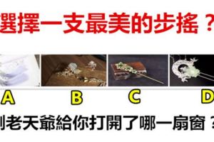 選擇一支最美的步搖？測老天爺給你打開了哪一扇窗？