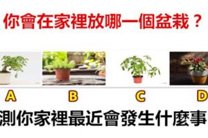 你會在家裡放哪一個盆栽？測你家裡最近會發生什麼事