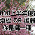 2018上半年桃花爆棚與爆弱的星座