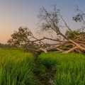 十二星座8月16日運勢 迷茫混亂：金牛座、天蠍座、水瓶座