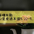 蘇珊米勒12星座週末運9.22-9.23，雙子享受生活 摩羯職位晉陞機會