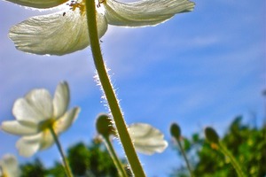 每個人的生活都需要多一點「恰到好處」