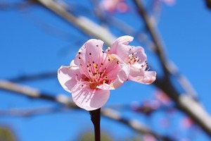 3月份能遇到真愛，財運也跟著來的五大星座