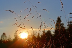 致十二星座：水瓶愛很極端，白羊從不索取