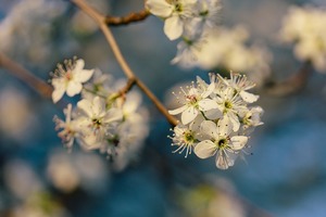 12星座一人一句：天蠍性格極端，雙子喜歡被虐