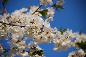 十二星座一週運勢（7.17~23）本週紅榜：雙子座、天蠍座、水瓶座