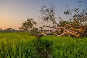 十二星座8月16日運勢 迷茫混亂：金牛座、天蠍座、水瓶座