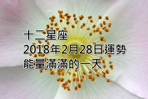 十二星座2018年2月28日運勢：能量滿滿的一天！