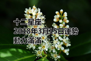 十二星座2018年3月15日運勢：動力滿滿