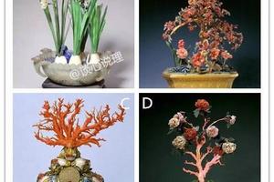 心理測試：哪個風水盆景最值錢，測試你後半生的幸福指數！