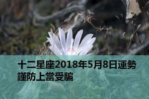 十二星座2018年5月8日運勢：謹防上當受騙