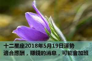 十二星座2018年5月19日運勢：適合應酬，賺錢的消息，可能會加班