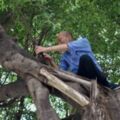 韓國瑜爬「3公尺樹」視察登革熱 發現許多。。