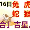 10月16日生肖運勢_兔、虎、馬大吉