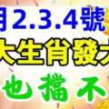 12月2.3.4號發大財，擋也擋不住的四大生肖