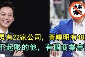 何炅有22家公司，黃曉明有48家，而不起眼的他，有個商業帝國！