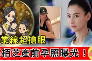 張柏芝懷第三胎產前照外洩？露出超深邃事業線