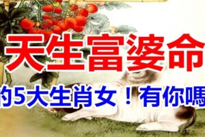 天生「富婆命」的5大生肖女，越活越富裕，越老越旺夫