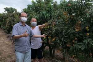 史上頭一遭！澳洲引進首批台灣「玉荷包」