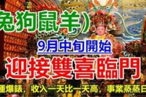 9月中旬開始迎接雙喜臨門，四生肖財運爆錶，收入一天比一天高，事業蒸蒸日上