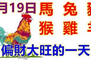 9月19日生肖運勢_馬、兔、豬大吉