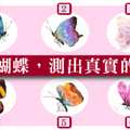 [98％精準日本心理測驗]憑直覺！挑選一隻蝴蝶測出真實的你！