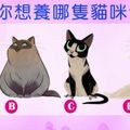 【想養哪隻貓咪】測你有多容易被看穿？