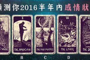 [影子塔羅牌占卜]預測你2016半年內感情狀態