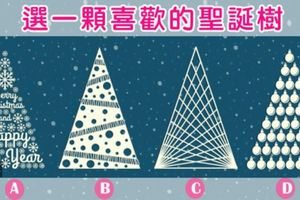 選科喜歡的聖誕樹！測你聖誕節有沒有愛情降臨