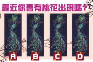 【孔雀桃花占卜】最近你會有桃花出現嗎?