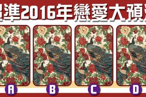 【戀愛靈鳥占卜】超準2016戀愛大預測!