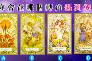 【花仙子愛戀塔羅】你會在哪個轉角遇到愛?