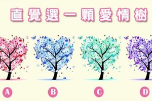  【芬蘭愛情樹準測】測異性是怎麼看你的?