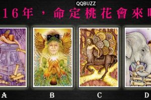 【克索莉愛情塔羅】2016年，命定桃花會來嗎?