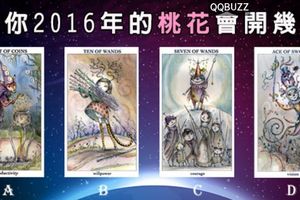 ✭法國插畫愛情塔羅✭測你2016年的桃花會開幾朵！