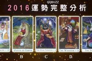 【波西米亞動物塔羅】2016運勢完整分析