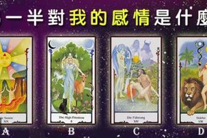  【中世紀法國神秘戀愛塔羅】另一半對我的感情是什麼?